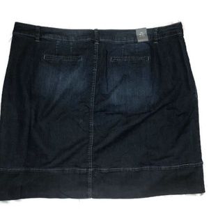 Women Avenue Denim  Skirt Jeans Plus Size